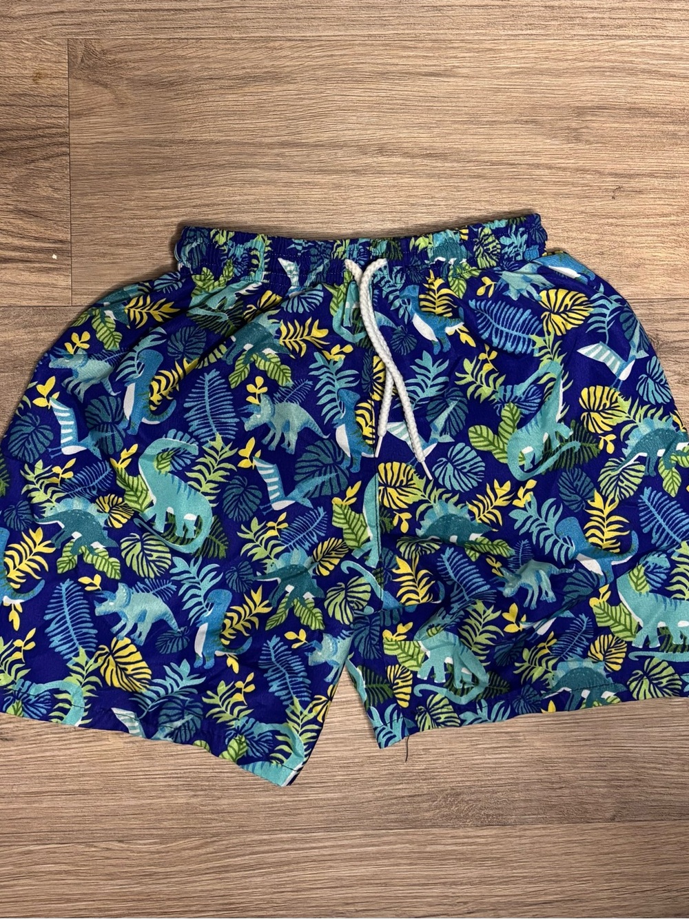 Boy’s Blue Tropical Dinosaur Print Swim Trunks